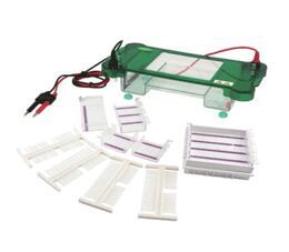 JY-SPCT Horizontal Electrophoresis