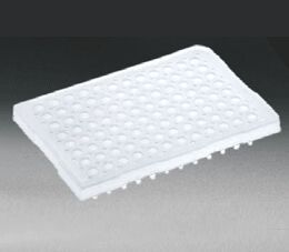 THIN WALL PCR PLATE