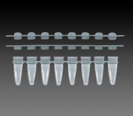 THIN WALLED L PCR REACTION STRIPS