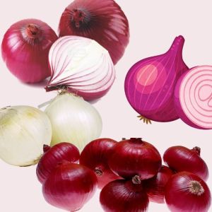 Fresh Onions