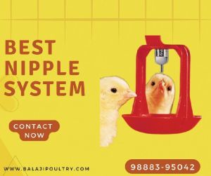 Poultry Nipple Drinker System