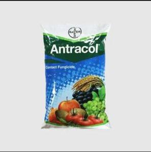 Bayer Fungicide Antracol