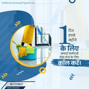 Low Cleaning Services