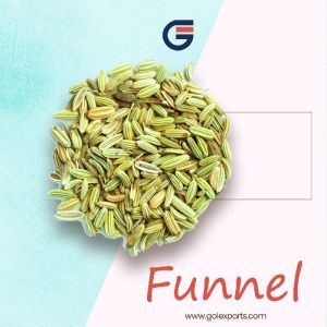 Fennel Seeds