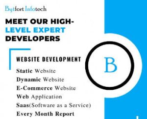 Website Development Services