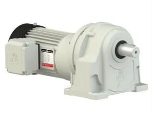 Liming Compact Gear Motor