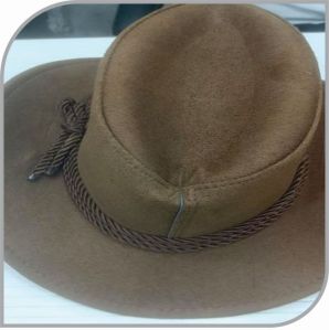 Brown Cowboy Hat