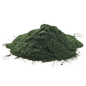 organic spirulina powder