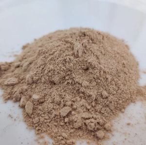 Dry Ginger Powder