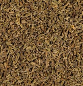 Anise Seed