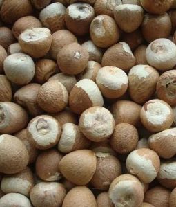 White Areca Nuts