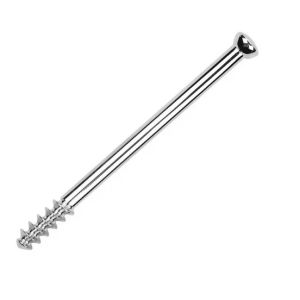 Cancellous Screws