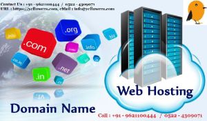 Web Hosting Services