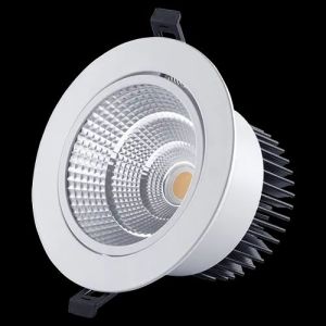 Crompton LED COB Spot Light