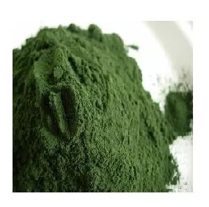 Green Seaweed Extract Powder