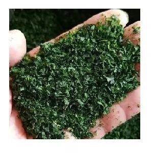 Green Seaweed Extract Powder