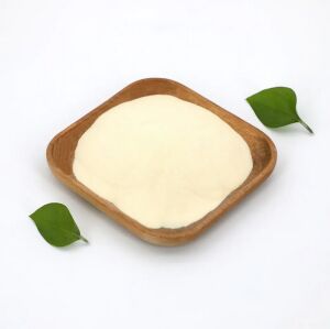 Protein Hydrolysate Powder