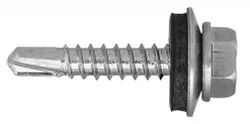 Self Tapping Screw