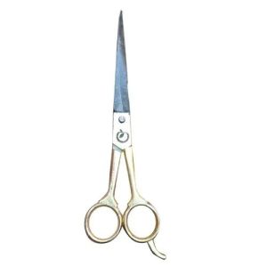 Hair Scissors