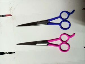 salon scissors