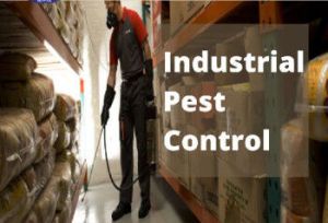 Industrial Pest Control Services