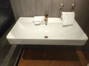 Kohler Wash Basin