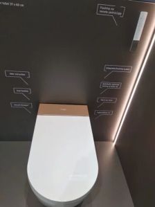 wall hung toilets