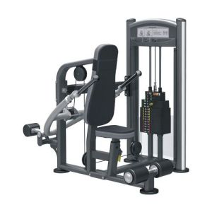 Triceps Press Machine