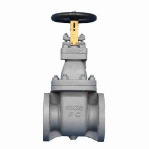 Cast Iron Gate Valve