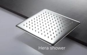 Stainless Steel Bathroom Showers