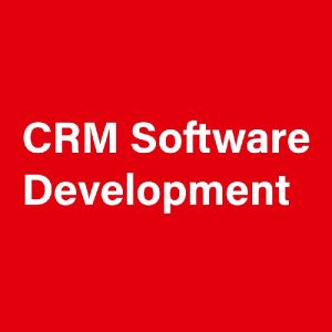 crm development services