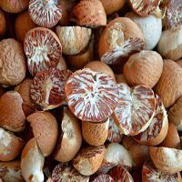 Betel Nuts / Areca Nuts