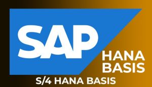 Best SAP S4 Hana BASIS Training from Hyderabad