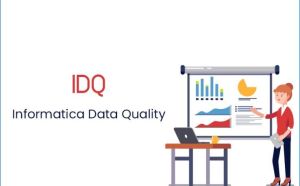 Informatica IDQ Online Training from India