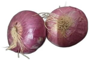 organic red onion