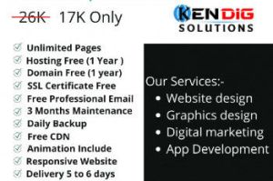 Online Pro Solutions
