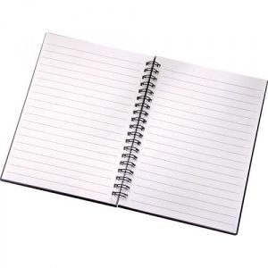 Plain Spiral Notebook