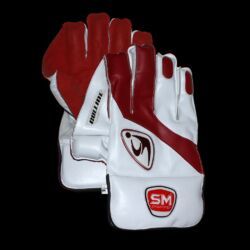 Cricket Wicket Keeping Gloves