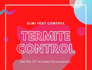 termite control