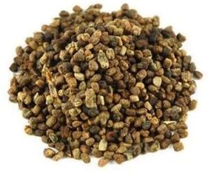 Joint Cardamom Seed