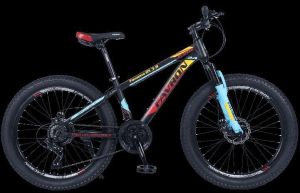 Famous DX 3.0 24 Hi-Ten Steel 21 Speed