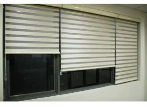 Designer Zebra Blinds