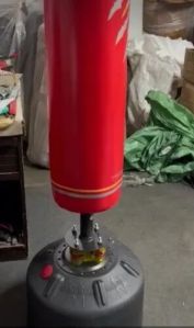 Standing Punching Bag