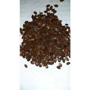 subabul seeds