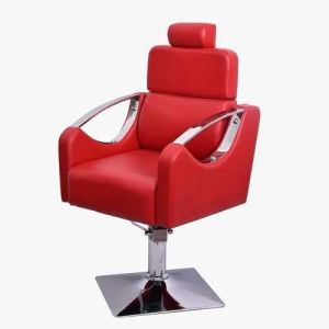 Salon Chair