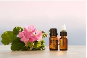 Rose Geranium Essential Oil