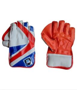 Wicket Keeping Gloves