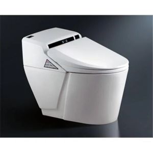 electronic toilet