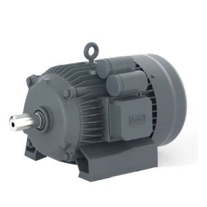 Lubi Single Phase Induction Motor