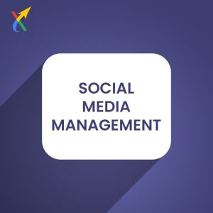 social media management